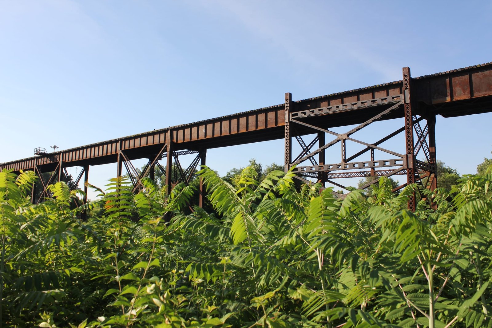 Typical viaduct east of 296-foot span